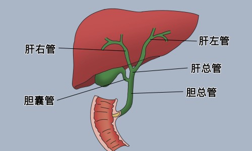 磷酸铝凝胶适用哪些胃病-磷酸铝凝胶胃药图片网 :分享磷酸铝凝胶能快速缓解胃部不适吗-磷酸铝凝胶治胃病好吗知识